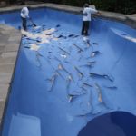 Ventura Fiberglass Swimming Pool and Spa Repair Resurfacing