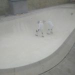 Camarillo California Gelcoat Swimming Pool Resurfacing